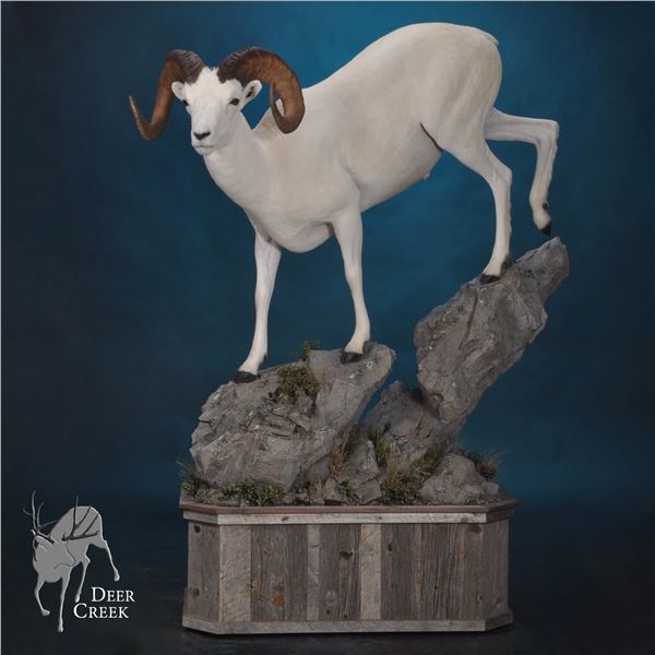LIFE-SIZE WILD SHEEP MOUNT WITH HABITAT AND BASE