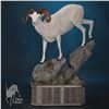 LIFE-SIZE WILD SHEEP MOUNT WITH HABITAT AND BASE