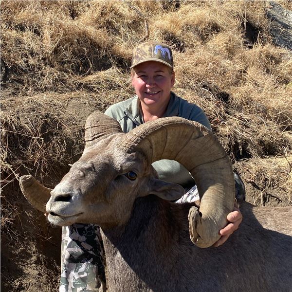 STATE OF WASHINGTON CALIFORNIA BIGHORN SHEEP
