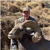 STATE OF WASHINGTON CALIFORNIA BIGHORN SHEEP