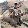 Image 3 : STATE OF WASHINGTON CALIFORNIA BIGHORN SHEEP