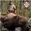 Image 3 : 10-DAY KAMCHATKA BROWN BEAR HUNT FOR 1 HUNTER
