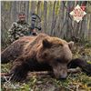 Image 4 : 10-DAY KAMCHATKA BROWN BEAR HUNT FOR 1 HUNTER