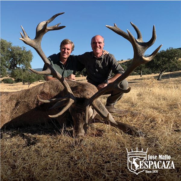 4-DAY HUNT FOR IBERIAN RED STAG OR ROE DEER FOR 1 HUNTER (Hunter’s choice) (Trophy fe