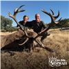 Image 1 : 4-DAY HUNT FOR IBERIAN RED STAG OR ROE DEER FOR 1 HUNTER (Hunter’s choice) (Trophy fe