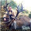 Image 3 : 4-DAY HUNT FOR IBERIAN RED STAG OR ROE DEER FOR 1 HUNTER (Hunter’s choice) (Trophy fe