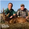 Image 4 : 4-DAY HUNT FOR IBERIAN RED STAG OR ROE DEER FOR 1 HUNTER (Hunter’s choice) (Trophy fe