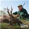Image 5 : 4-DAY HUNT FOR IBERIAN RED STAG OR ROE DEER FOR 1 HUNTER (Hunter’s choice) (Trophy fe