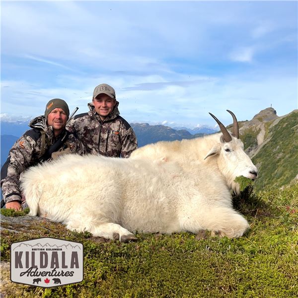 10-DAY FALL MOUNTAIN GOAT HUNT FOR 1 HUNTER
