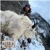 Image 2 : 10-DAY FALL MOUNTAIN GOAT HUNT FOR 1 HUNTER