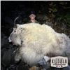 Image 3 : 10-DAY FALL MOUNTAIN GOAT HUNT FOR 1 HUNTER