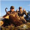 Image 2 : 5 - DAY/4-NIGHT TAHR HUNT IN NEW ZEALAND & $500 CREDIT TOWARDS CHAMOIS FOR 1 HUNTER AND 1 NON-HUNTER