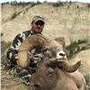 STATE OF MONTANA BIGHORN SHEEP LICENSE