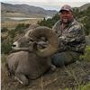 Image 3 : STATE OF MONTANA BIGHORN SHEEP LICENSE