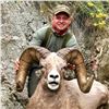 Image 5 : STATE OF MONTANA BIGHORN SHEEP LICENSE