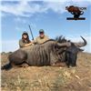 Image 2 : 5-DAY BLUE WILDEBEEST HUNT FOR 4 HUNTERS