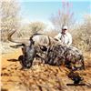 Image 3 : 5-DAY BLUE WILDEBEEST HUNT FOR 4 HUNTERS