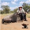 Image 4 : 5-DAY BLUE WILDEBEEST HUNT FOR 4 HUNTERS