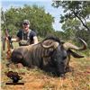 Image 5 : 5-DAY BLUE WILDEBEEST HUNT FOR 4 HUNTERS
