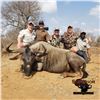 Image 6 : 5-DAY BLUE WILDEBEEST HUNT FOR 4 HUNTERS