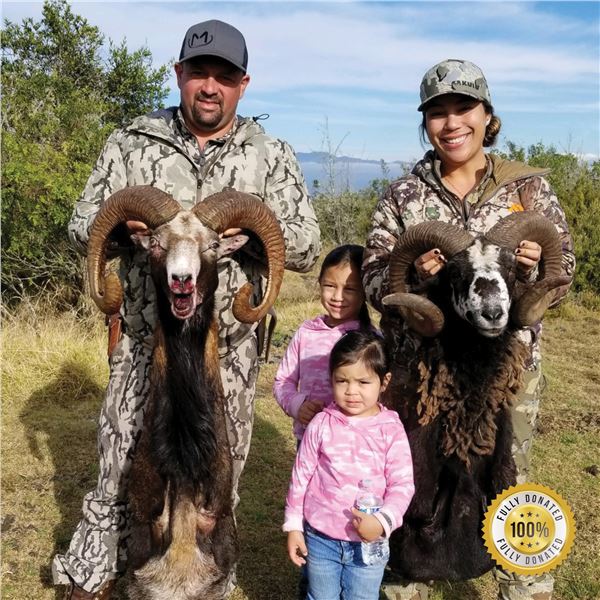 2-DAY HUNT FOR HYBRID EUROPEAN MOUFLON/HAWAIIAN SHEEP FOR 1 HUNTER AND 1 DAY DEEP SEA FISHING
