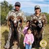 2-DAY HUNT FOR HYBRID EUROPEAN MOUFLON/HAWAIIAN SHEEP FOR 1 HUNTER AND 1 DAY DEEP SEA FISHING