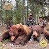 6-DAY BLACK BEAR HUNT FOR 2 HUNTERS IN ALBERTA