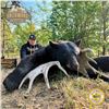 Image 2 : 6-DAY BLACK BEAR HUNT FOR 2 HUNTERS IN ALBERTA