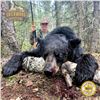Image 5 : 6-DAY BLACK BEAR HUNT FOR 2 HUNTERS IN ALBERTA