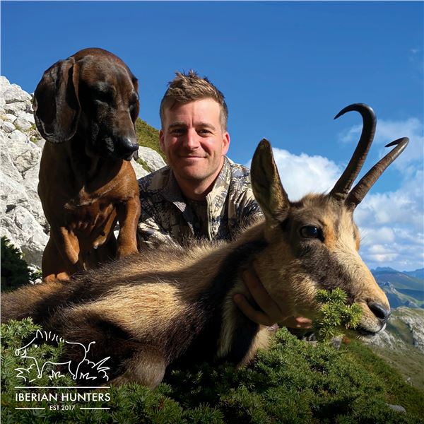 4-DAY CANTABRIAN CHAMOIS HUNT FOR 1 HUNTER