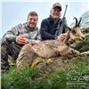 Image 3 : 4-DAY CANTABRIAN CHAMOIS HUNT FOR 1 HUNTER