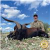 4-DAY BALEARIAN GOAT AND ROE DEER HUNT FOR 1 HUNTER AND 1 NON-HUNTER