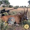 Image 3 : 4-DAY BALEARIAN GOAT AND ROE DEER HUNT FOR 1 HUNTER AND 1 NON-HUNTER