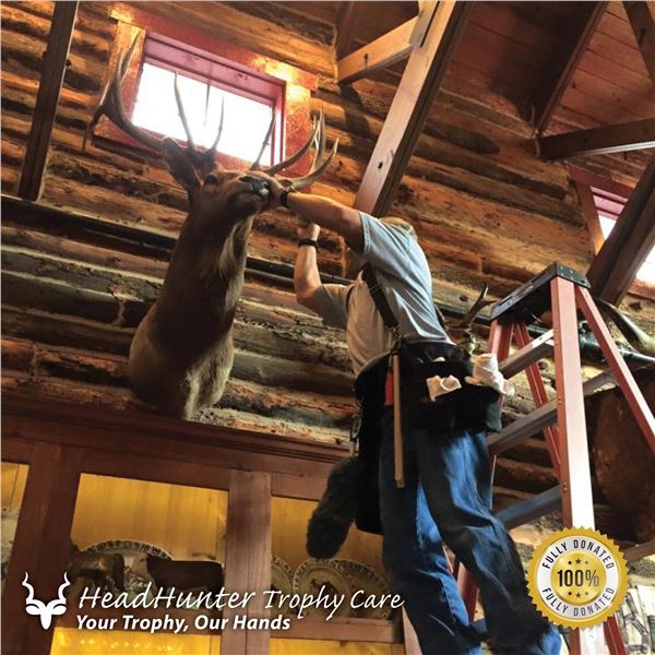 TROPHY ROOM CLEANING