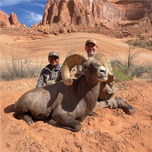 NAVAJO NATION DESERT BIGHORN