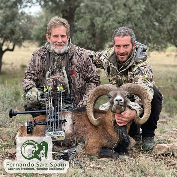 3- DAY IBERIAN MOUFLON HUNT FOR 1 HUNTER (Trophy fee for 1 Iberian mouflon included)