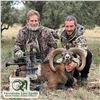 Image 1 : 3- DAY IBERIAN MOUFLON HUNT FOR 1 HUNTER (Trophy fee for 1 Iberian mouflon included)