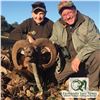 Image 3 : 3- DAY IBERIAN MOUFLON HUNT FOR 1 HUNTER (Trophy fee for 1 Iberian mouflon included)