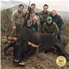 3-DAY MEXICAN FERAL FIGHTING BULL & EXOTIC HUNT FOR 1 HUNTER & 1 NON-HUNTER