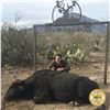 Image 2 : 3-DAY MEXICAN FERAL FIGHTING BULL & EXOTIC HUNT FOR 1 HUNTER & 1 NON-HUNTER