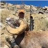 Image 3 : WYOMING ROCKY MOUNTAIN BIGHORN SHEEP LICENSE