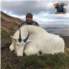 Image 3 : 9 - DAY ALASKAN HUNT FOR 2 MOUNTAIN GOATS AND 1 SITKA BLACKTAIL DEER FOR 1 HUNTER & 1 NON-HUNTER