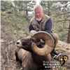 Image 4 : COLORADO ROCKY MOUNTAIN BIGHORN SHEEP LICENSE