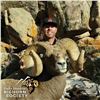 Image 5 : COLORADO ROCKY MOUNTAIN BIGHORN SHEEP LICENSE