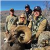 Image 6 : COLORADO ROCKY MOUNTAIN BIGHORN SHEEP LICENSE
