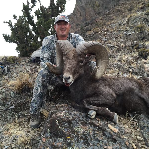 CONFEDERATED TRIBES OF WARM SPRINGS BRANCH OF NATURAL RESOURCES - CA BIGHORN SHEEP PERMIT