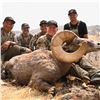 Image 3 : CONFEDERATED TRIBES OF WARM SPRINGS BRANCH OF NATURAL RESOURCES - CA BIGHORN SHEEP PERMIT