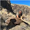 Image 4 : CONFEDERATED TRIBES OF WARM SPRINGS BRANCH OF NATURAL RESOURCES - CA BIGHORN SHEEP PERMIT