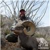 Image 5 : 10-DAY CHIHUAHUA DESERT BIGHORN SHEEP HUNT
