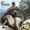 Image 3 : 7-DAY ANATOLIAN IBEX HUNT IN TURKEY FOR 1 HUNTER (Trophy fee included for up to 106 cm (Bronze medal